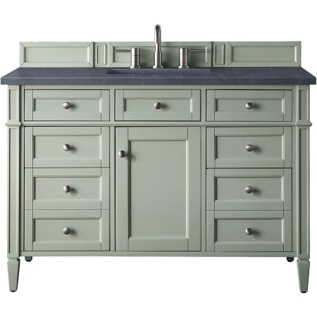 A large image of the James Martin Vanities 650-V48-3CSP Sage Green