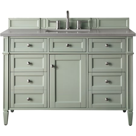 A large image of the James Martin Vanities 650-V48-3GEX Sage Green