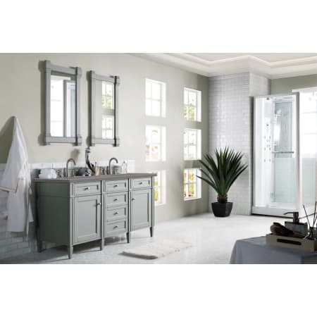 A large image of the James Martin Vanities 650-V60D-3GEX Alternate Image