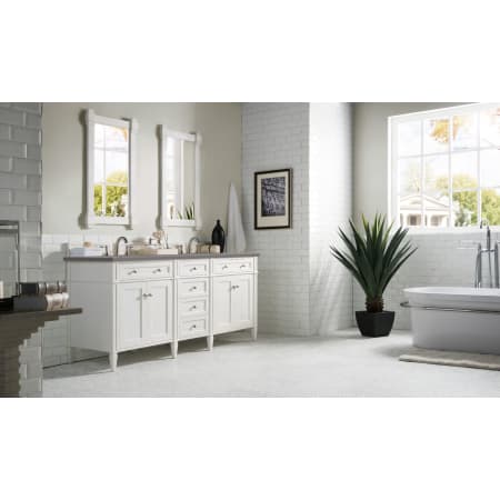 A large image of the James Martin Vanities 650-V72-3GEX Alternate Image