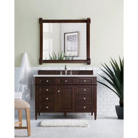 A large image of the James Martin Vanities 655-V48-3EJP Alternate Image