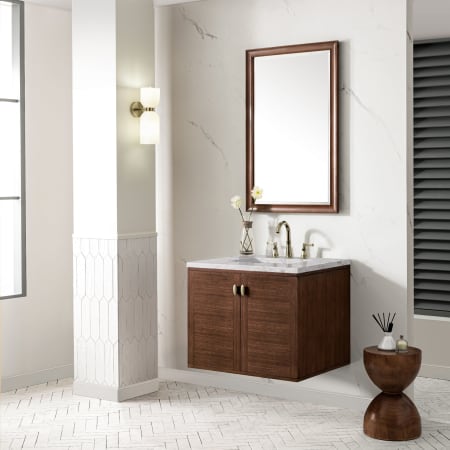 A large image of the James Martin Vanities 670-V30-3EJP Alternate Image