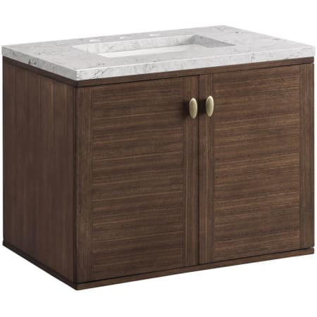 A large image of the James Martin Vanities 670-V30-3EJP Alternate Image