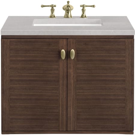 A large image of the James Martin Vanities 670-V30-3ESR Alternate Image