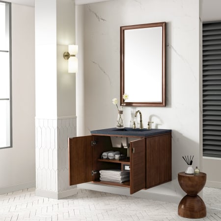 A large image of the James Martin Vanities 670-V30 Alternate Image