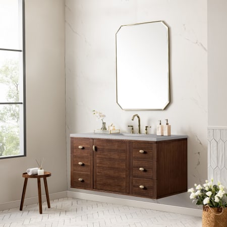 A large image of the James Martin Vanities 670-V48-3ESR Alternate Image