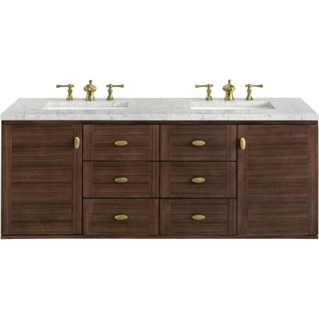 A large image of the James Martin Vanities 670-V60D-3EJP Alternate Image