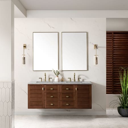 A large image of the James Martin Vanities 670-V60D-3EJP Alternate Image