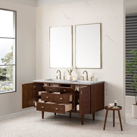 A large image of the James Martin Vanities 670-V60D-3EJP Alternate Image