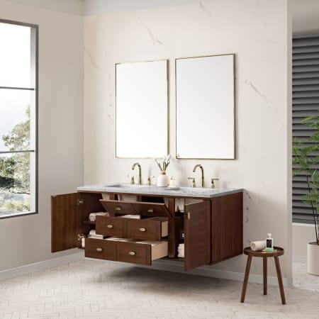 A large image of the James Martin Vanities 670-V60D-3EJP Alternate Image