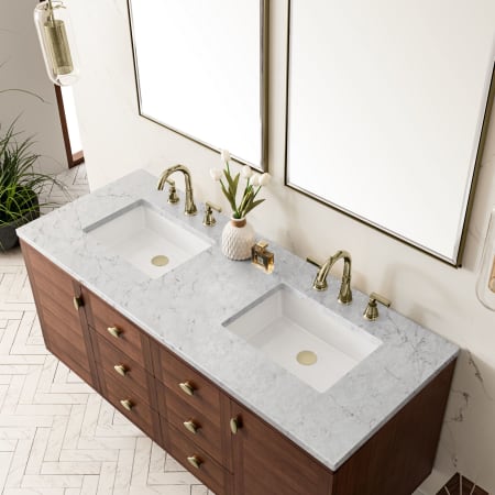 A large image of the James Martin Vanities 670-V60D-3EJP Alternate Image