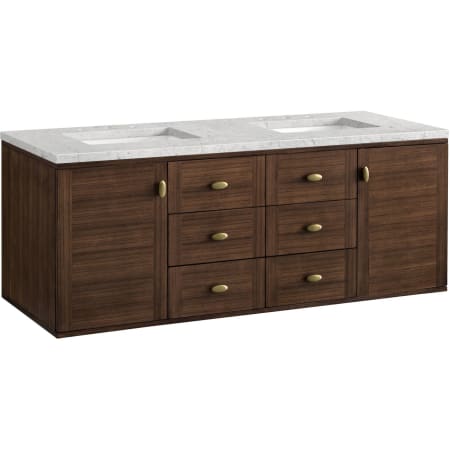 A large image of the James Martin Vanities 670-V60D-3EJP Alternate Image