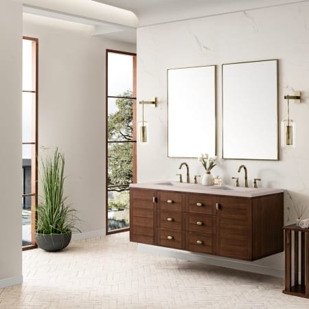 A large image of the James Martin Vanities 670-V60D-3EMR Alternate Image