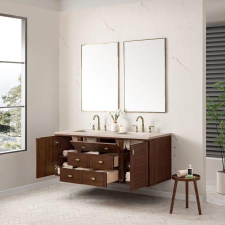 A large image of the James Martin Vanities 670-V60D-3EMR Alternate Image