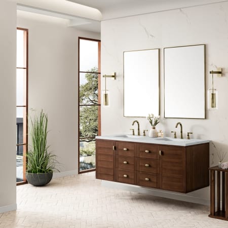 A large image of the James Martin Vanities 670-V60D-3ENC Alternate Image