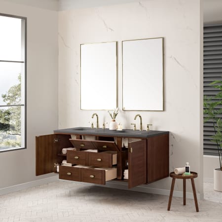 A large image of the James Martin Vanities 670-V60D-3GEX Alternate Image
