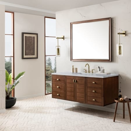 A large image of the James Martin Vanities 670-V60S-3AF Alternate Image