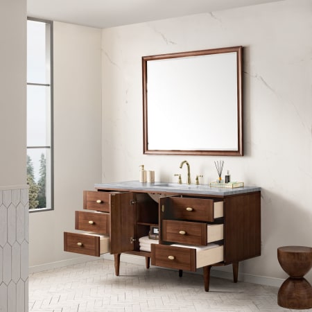 A large image of the James Martin Vanities 670-V60S-3AF Alternate Image