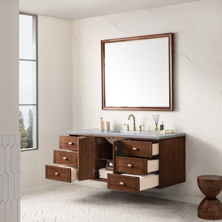 A large image of the James Martin Vanities 670-V60S-3AF Alternate Image