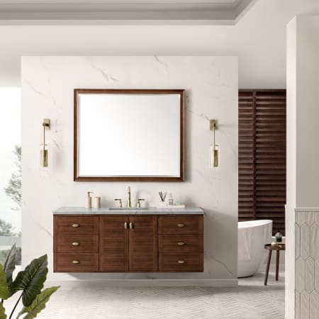 A large image of the James Martin Vanities 670-V60S-3EJP Alternate Image