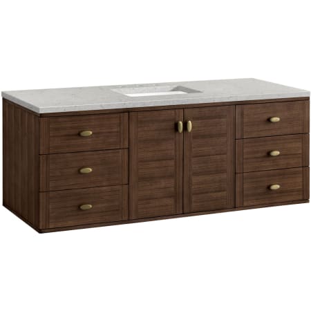 A large image of the James Martin Vanities 670-V60S-3EJP Alternate Image