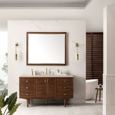 A large image of the James Martin Vanities 670-V60S-3EMR Alternate Image