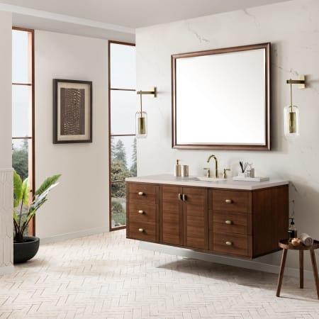 A large image of the James Martin Vanities 670-V60S-3EMR Alternate Image