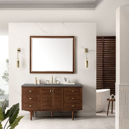 A large image of the James Martin Vanities 670-V60S-3GEX Alternate Image