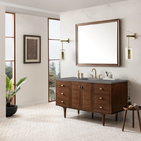 A large image of the James Martin Vanities 670-V60S-3GEX Alternate Image