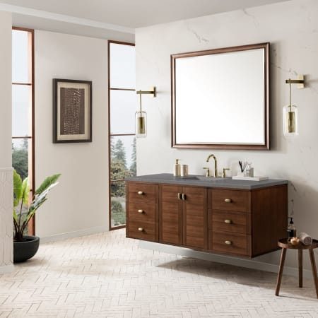 A large image of the James Martin Vanities 670-V60S-3GEX Alternate Image