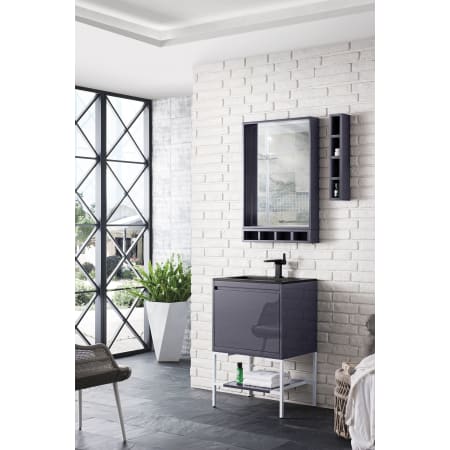 A large image of the James Martin Vanities 801V23.6GWCHB Alternate Image