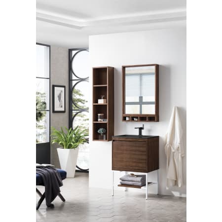 A large image of the James Martin Vanities 801V23.6GWCHB Alternate Image