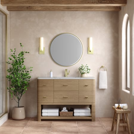 A large image of the James Martin Vanities D704-V48-3VSL Alternate Image