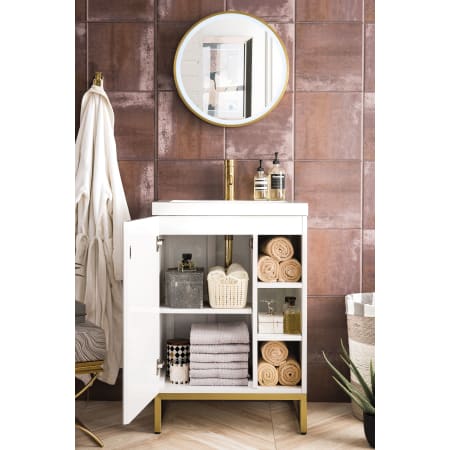 A large image of the James Martin Vanities E110V24RGDWG Alternate Image