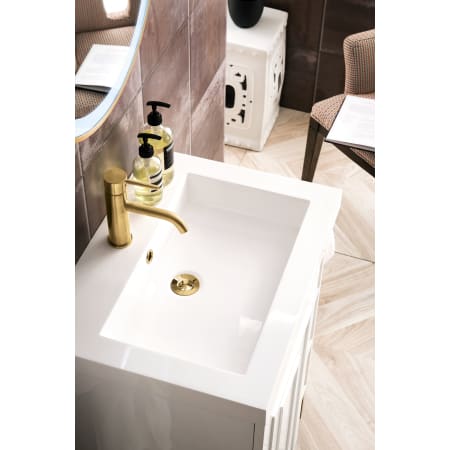 A large image of the James Martin Vanities E110V24RGDWG Alternate Image