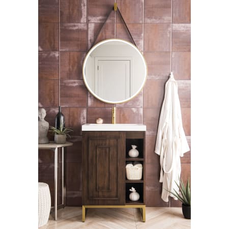 A large image of the James Martin Vanities E110V24RGDWG Alternate Image