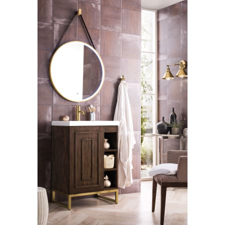 A large image of the James Martin Vanities E110V24RGDWG Alternate Image