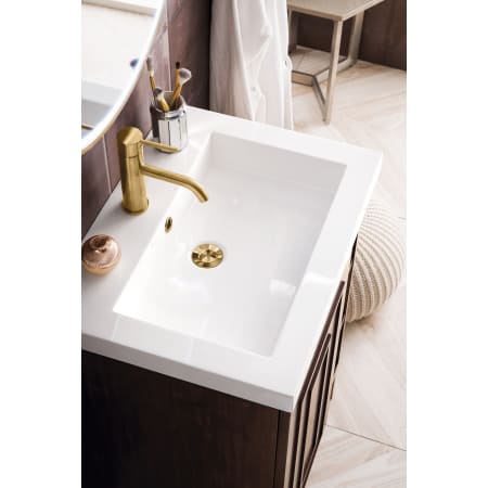 A large image of the James Martin Vanities E110V24RGDWG Alternate Image