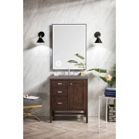 A large image of the James Martin Vanities E444-V30-3GEX Alternate Image