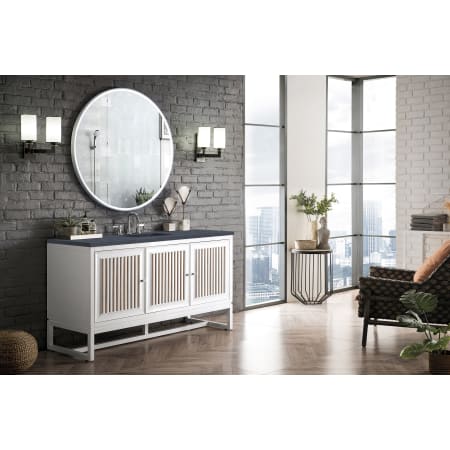 A large image of the James Martin Vanities E645-V60S-3CSP Alternate Image