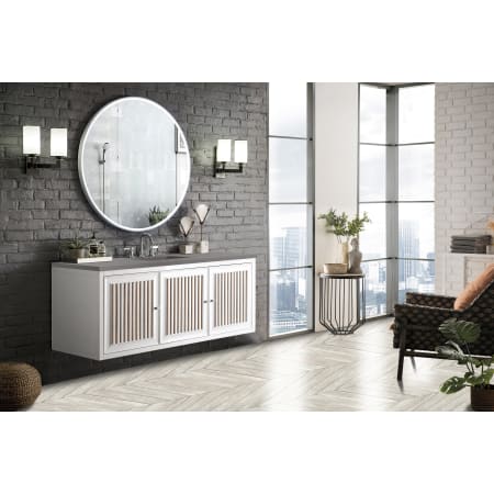 A large image of the James Martin Vanities E645-V60S-3GEX Alternate Image