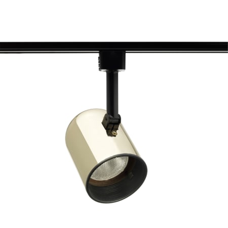 Juno Lighting R501 Blb Pb Brass Single Light 5 Wide 50 Watt Accent Juno Lighting R501b