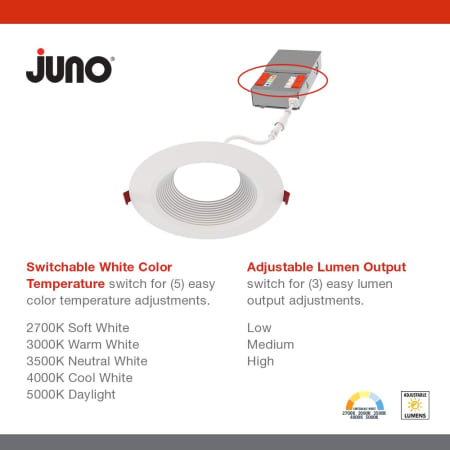 A large image of the Juno Lighting WF4 DREG B ALO19 SWW5 90CRI M6 Alternate image
