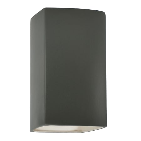 A large image of the Justice Design Group CER-0950W-LED1-1000 Pewter Green