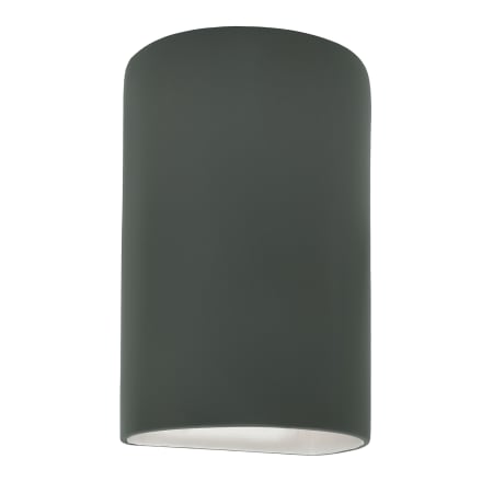 A large image of the Justice Design Group CER-1260-LED1-1000 Pewter Green