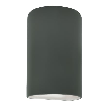 A large image of the Justice Design Group CER-5265W Pewter Green
