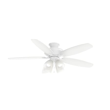 A large image of the Kichler 330162 Kichler Renew Premier Ceiling Fan Blade Options