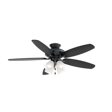 A large image of the Kichler 330162 Kichler Renew Premier Ceiling Fan Blade Options