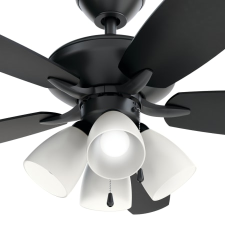 A large image of the Kichler 330162 Kichler Renew Premier Ceiling Fan Light Kit