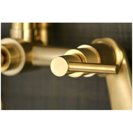 A large image of the Kingston Brass AE815.DL Alternate Image